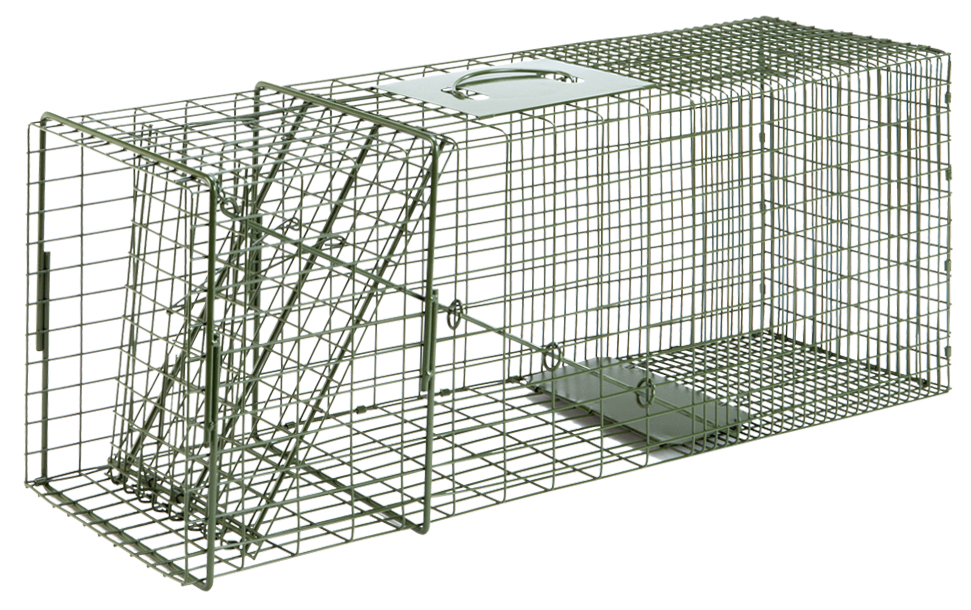 Cage Trap