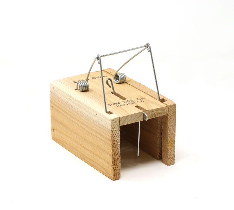 Cheap beekeeping supplies 