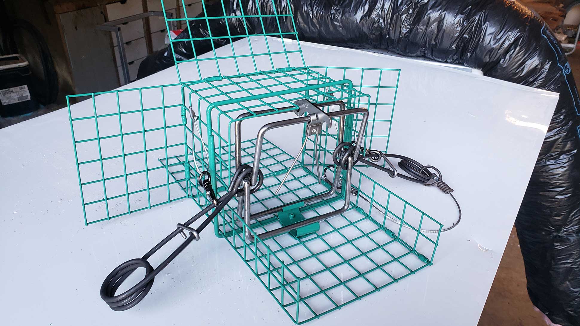 Green Trap Animal Traps & Supplies