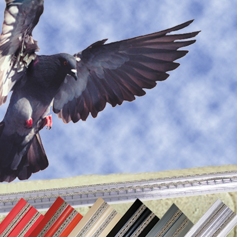 BIRD JOLT TRACK Animal Traps & Supplies